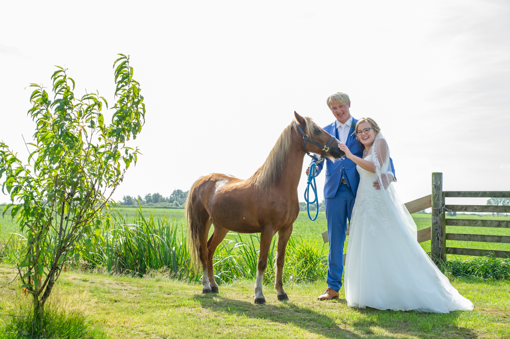 bruidspaar-paard-in-wei-friesland